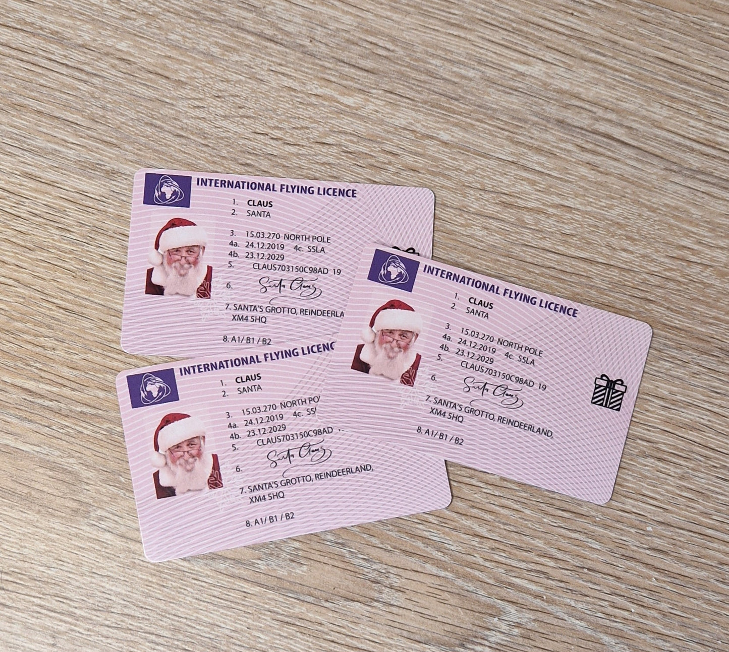 Santa's Flying Licence