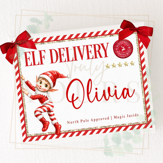 Elf Delivery Gift Box