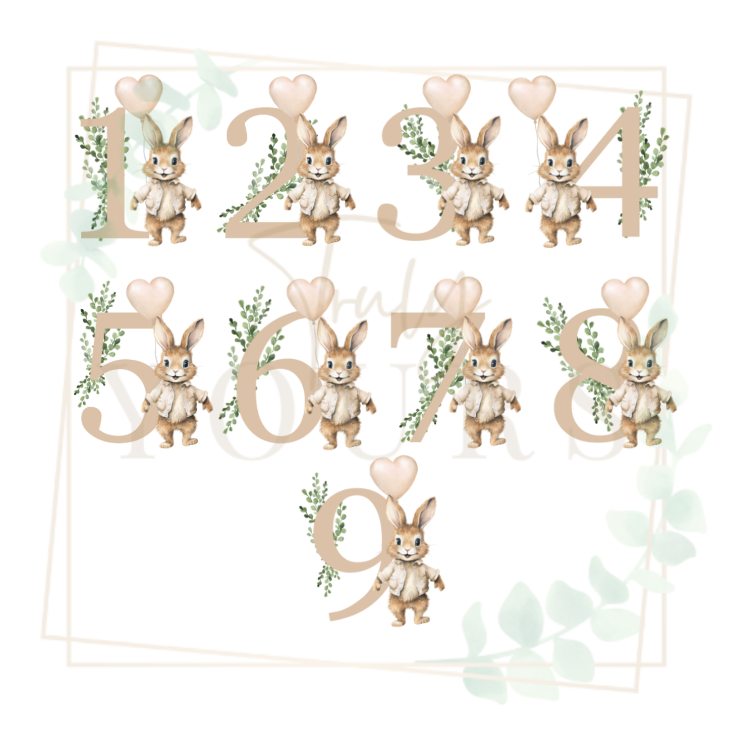 Beige Flopsy Boy Birthday Gift Box