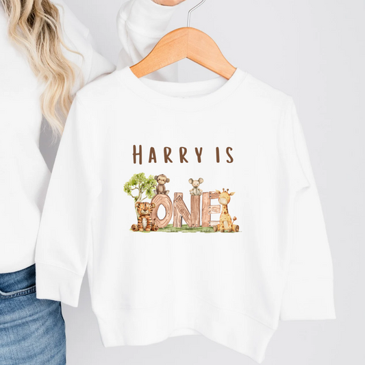 Safari Animals Number Sweatshirt